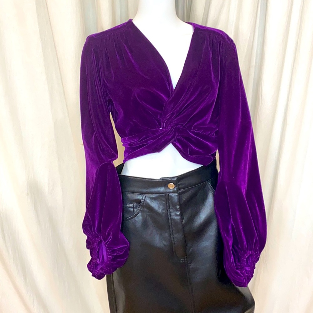 Beautiful Zara Voluminous Sleeve Velvet Top!